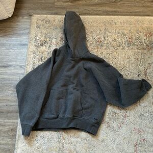 Aritzia Sweatshirt